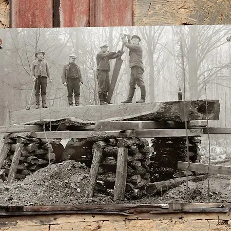 Διαμέρισμα Zum Baumhaus