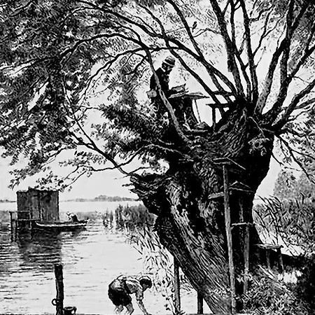 Zum Baumhaus Διαμέρισμα