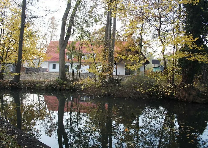 Zum Baumhaus Appartement *