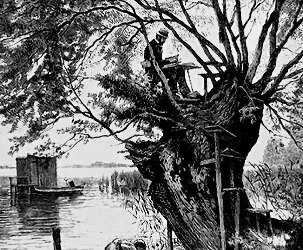 Zum Baumhaus Appartement